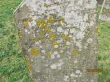 image of grave number 778424